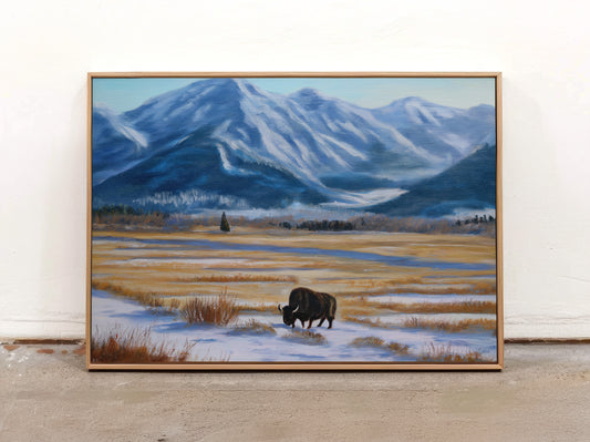 Bison Landscape Canvas Print: Mountain Winter Scene